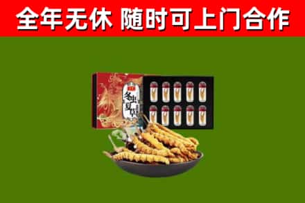 沂南回收冬虫夏草价格